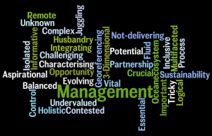 wordle-for-report