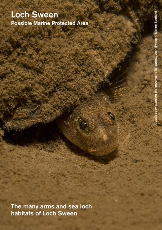 Loch Sween MPA site summary