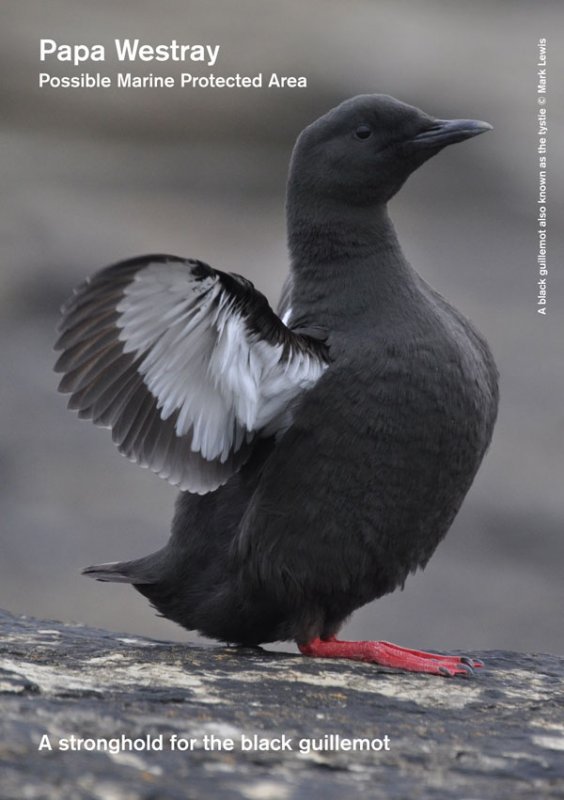 Papa Westray MPA Site Summary document