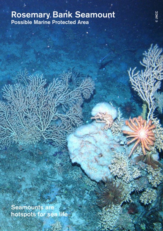 Rosemary Banks Seamount MPA Site Summary Document