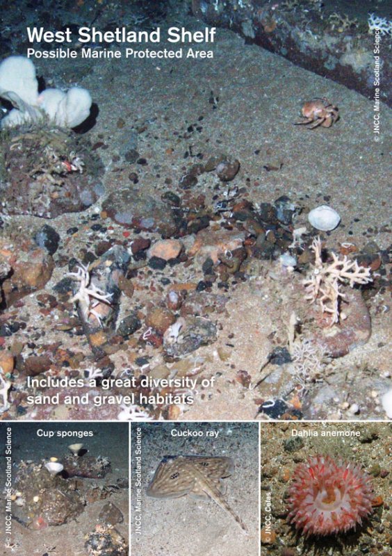 West Shetland Shelf MPA Site Summary Document