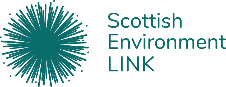 Scotlink Logo
