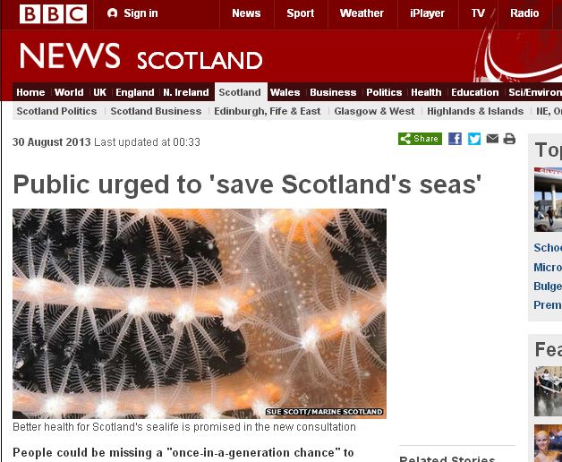 Public urged to 'save Scotland's seas' 