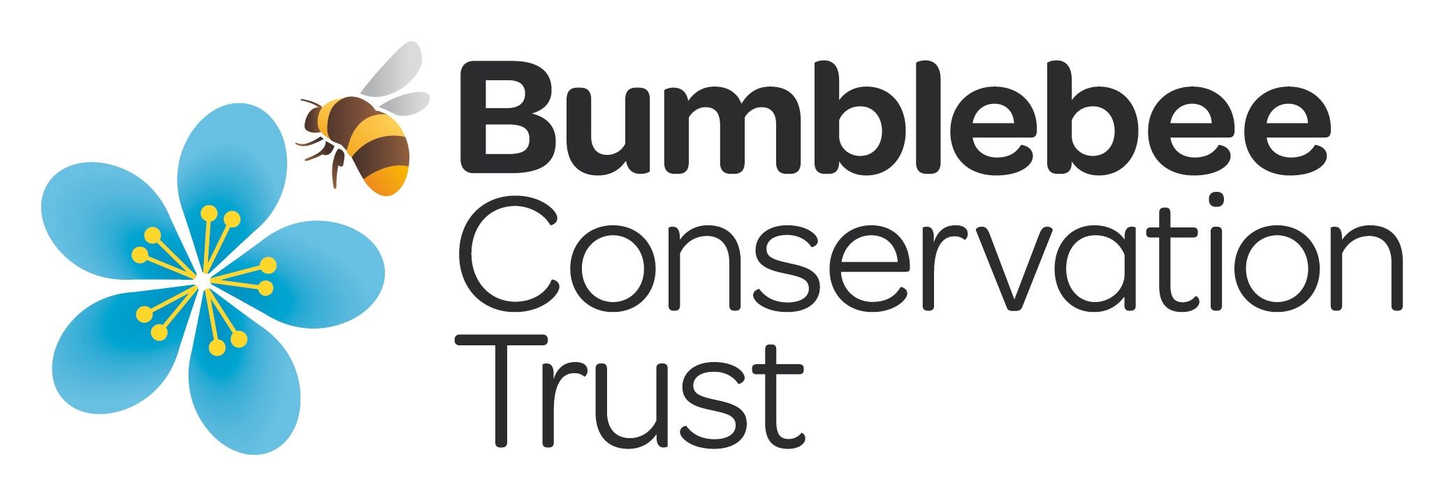 Bumblebee Conservation Trust