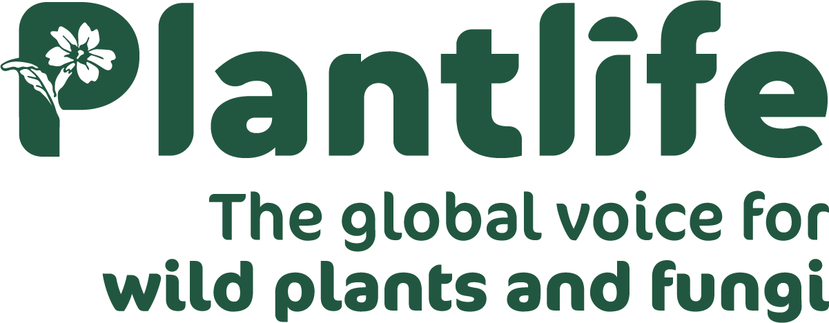 Plantlife_Strapline_DarkGreen (2)