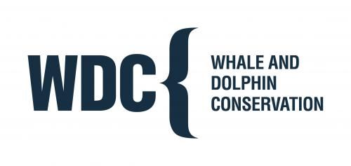 Whale and Dolphin Conservation