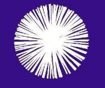 Scottish Environment Link logo on a purple background.