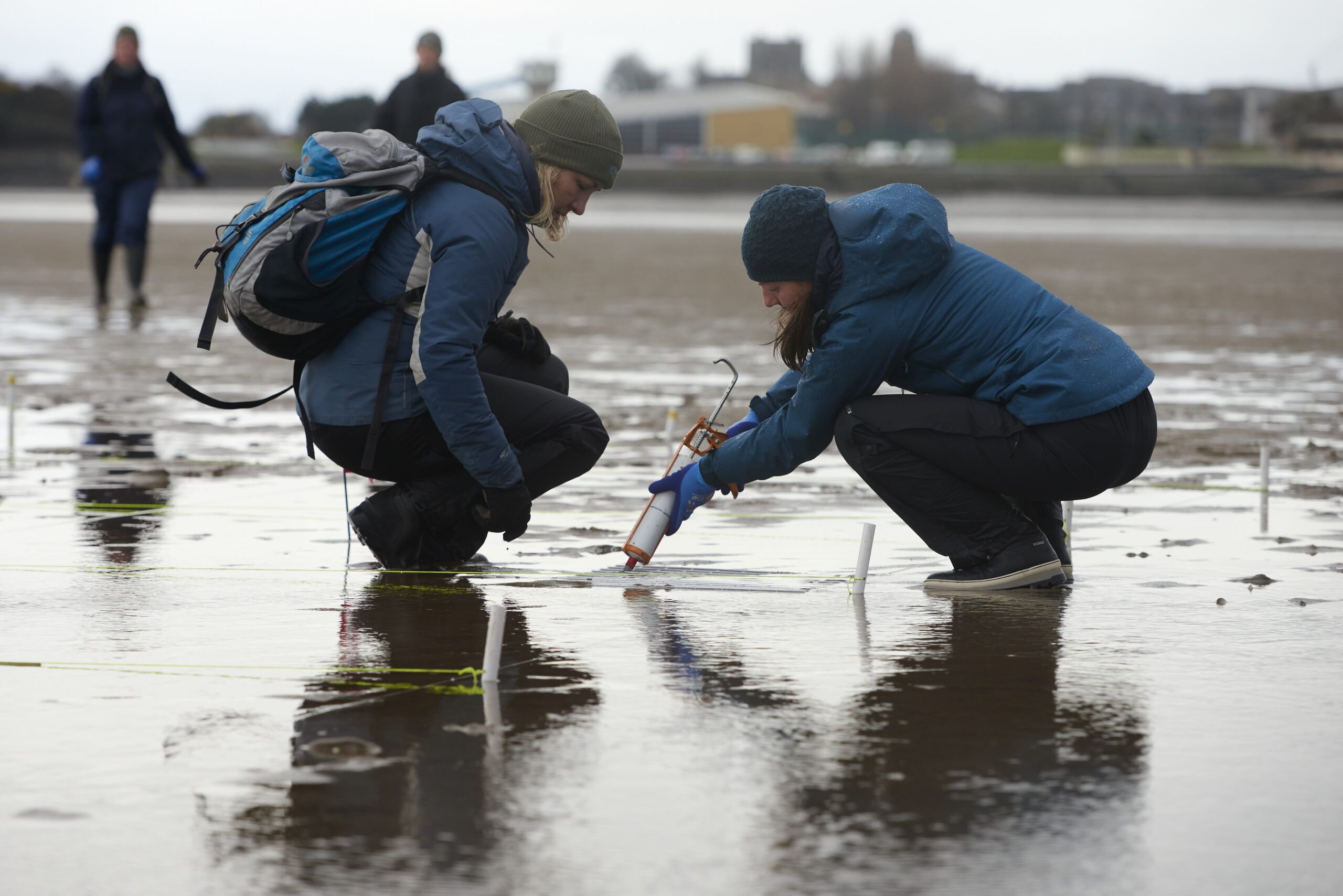 Image of two people seeding seagrass seeds.