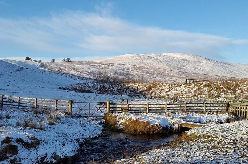 snowy-fields-Karen-aspect-ratio-540x358