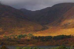 Loch-Affric-Sandra-Graham-2-300x300-1-aspect-ratio-540x358