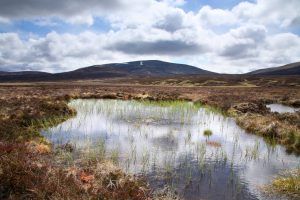 An image of a blanket bog with a small body of water in the foreground and a hill range in the background.