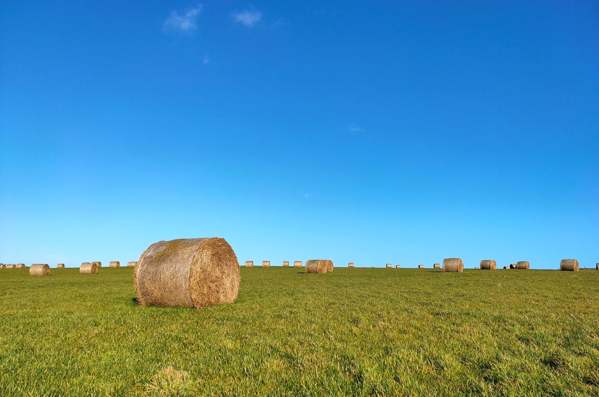 haybalesAberdeenshireDL-scaled-1-aspect-ratio-540-358