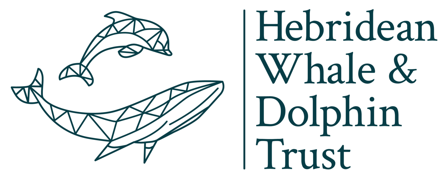 HWDT_Logo_Blue_Web