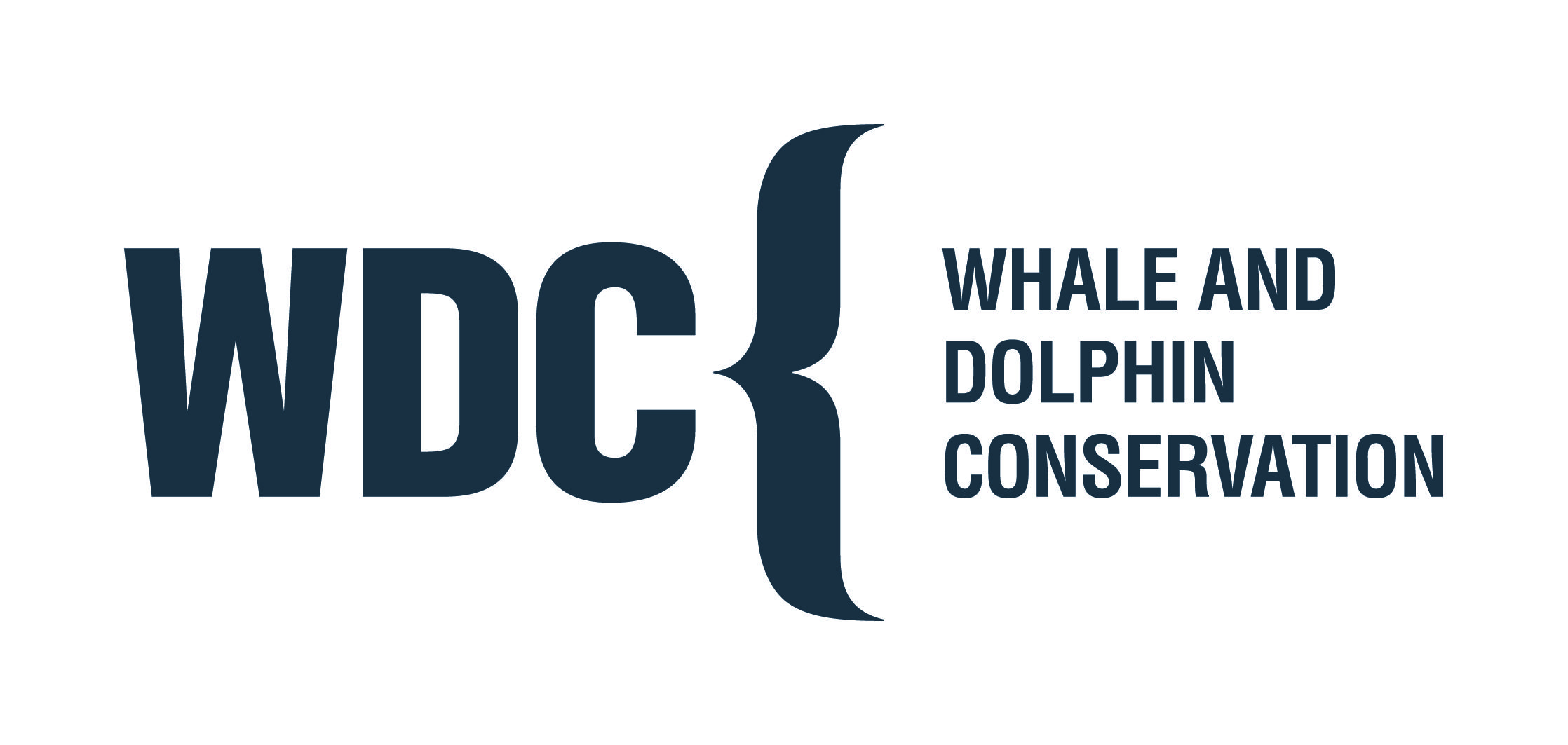WDC_Logo_H_P7546