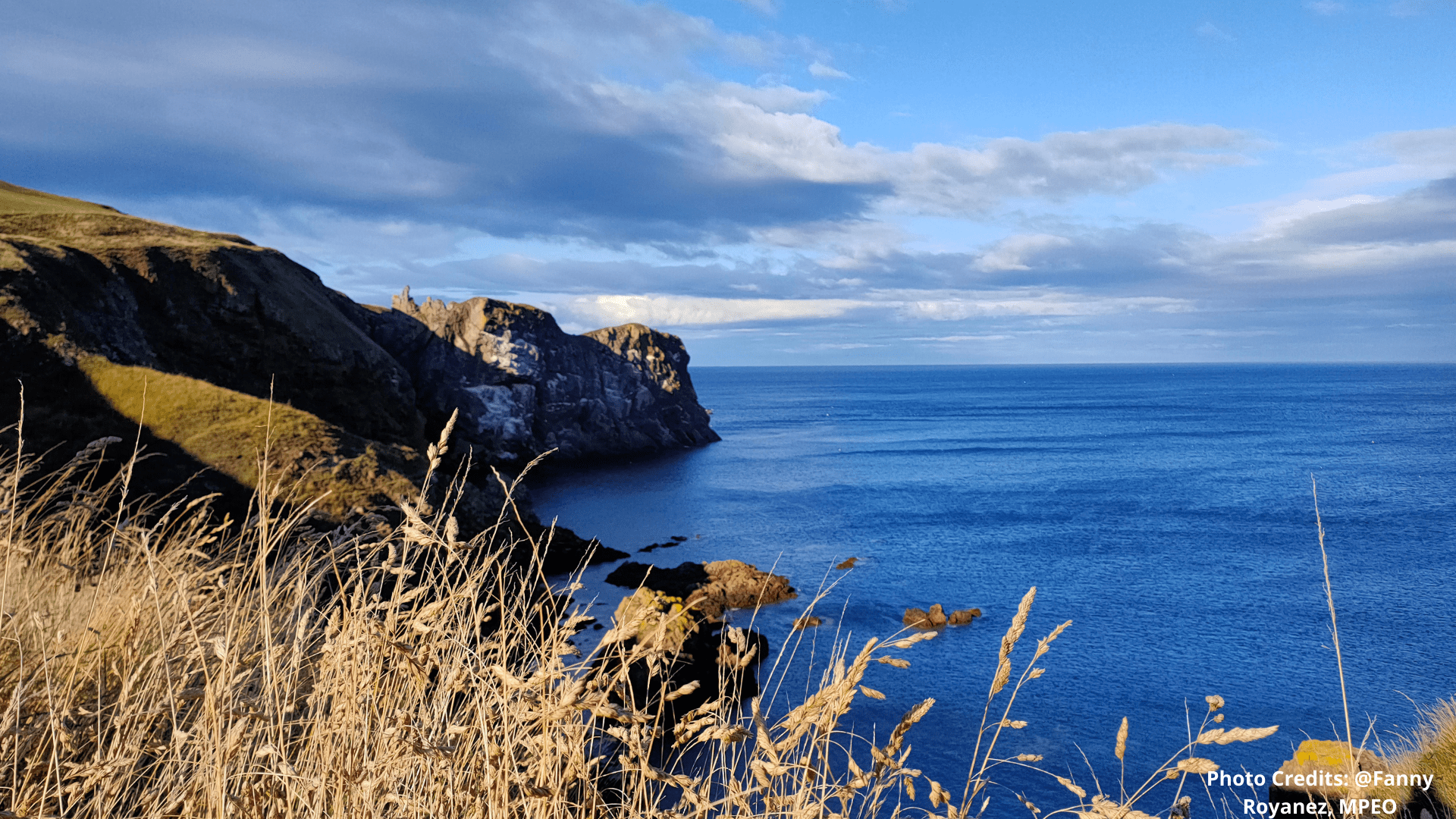 A picture of the sea from a cliff top