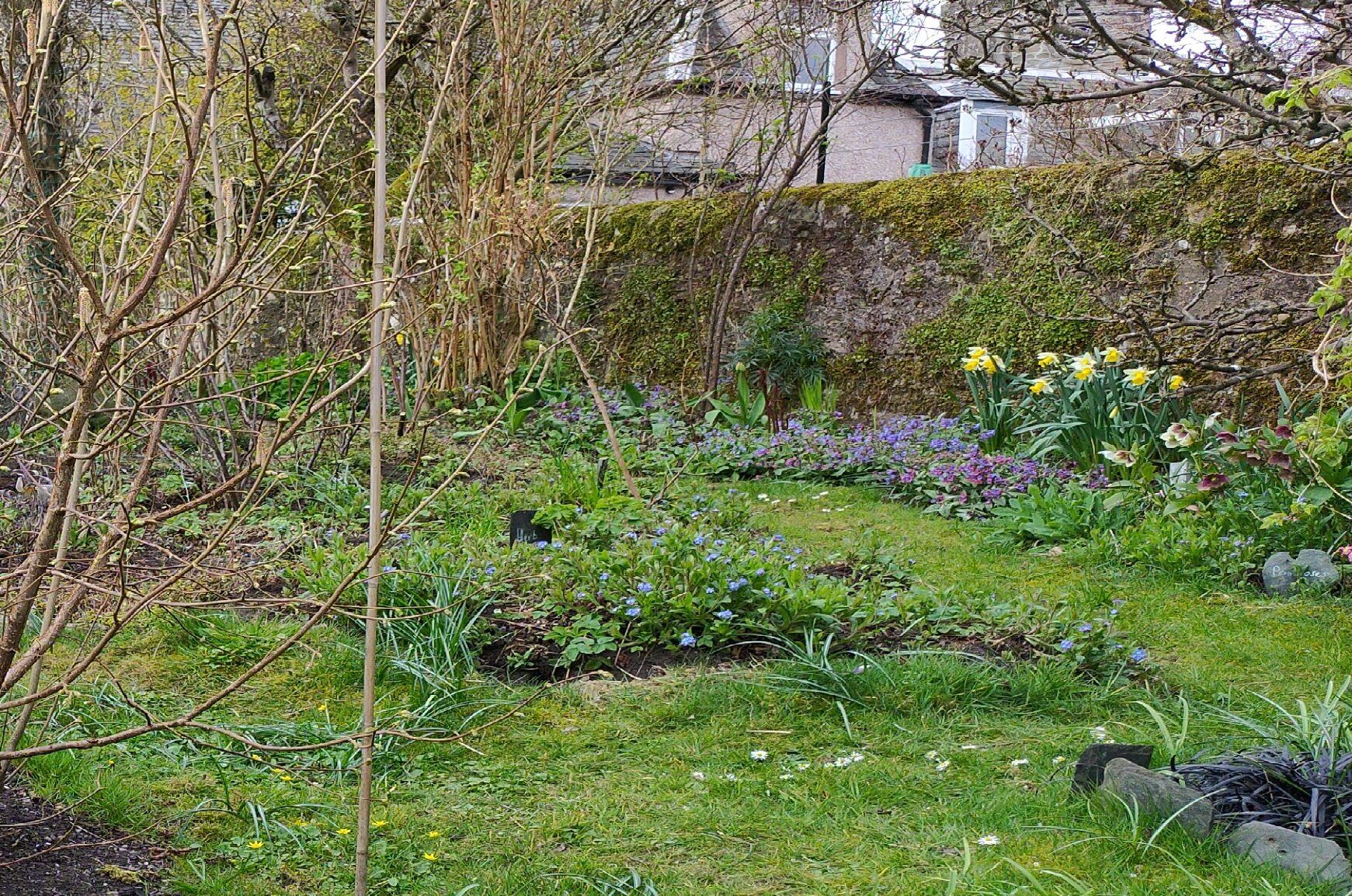 gardening-in-a-pandemic-cropped-scaled-aspect-ratio-540-358