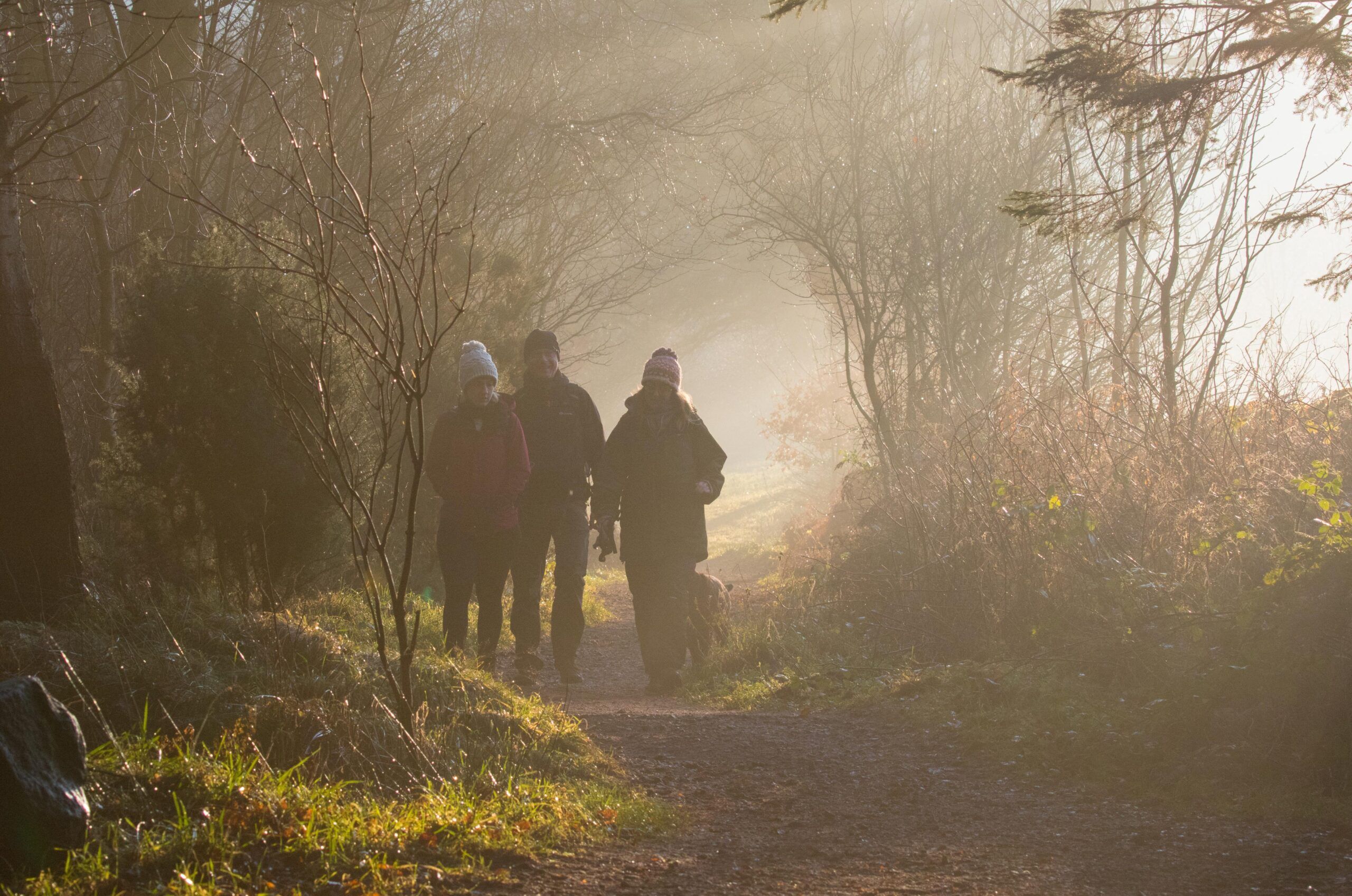 Winter-Light-E-Lomond-1-scaled-aspect-ratio-540-358