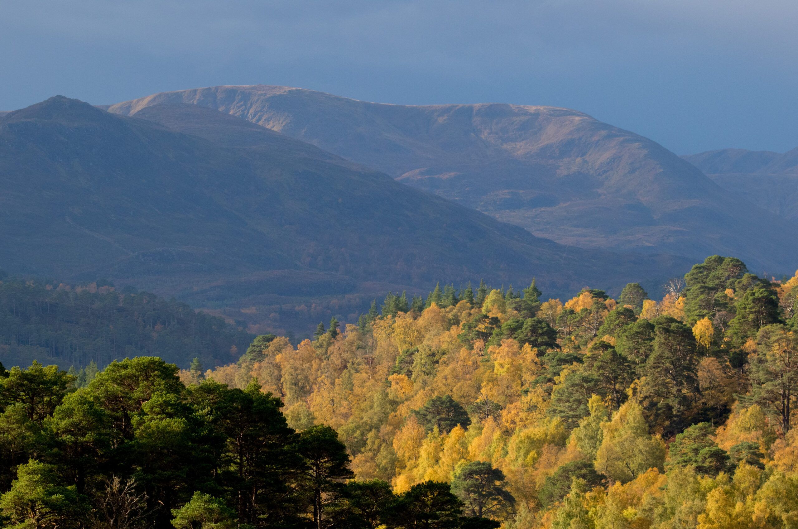 Glen-Affric-Sandra-Graham-large-scaled-aspect-ratio-540-358