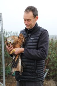 Duncan Orr-Ewing holding red kite in hands