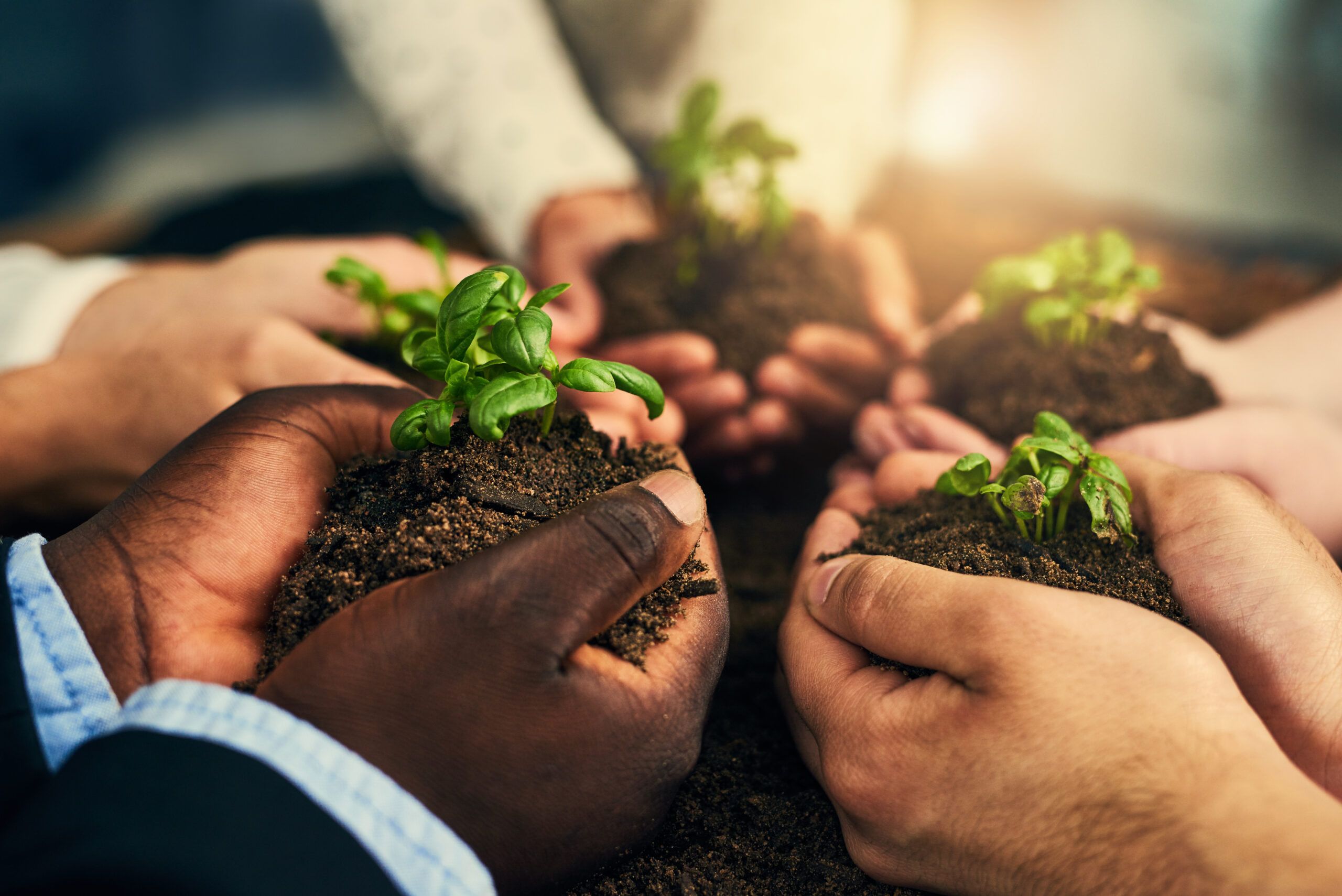 a group of people holding young plants in their hands