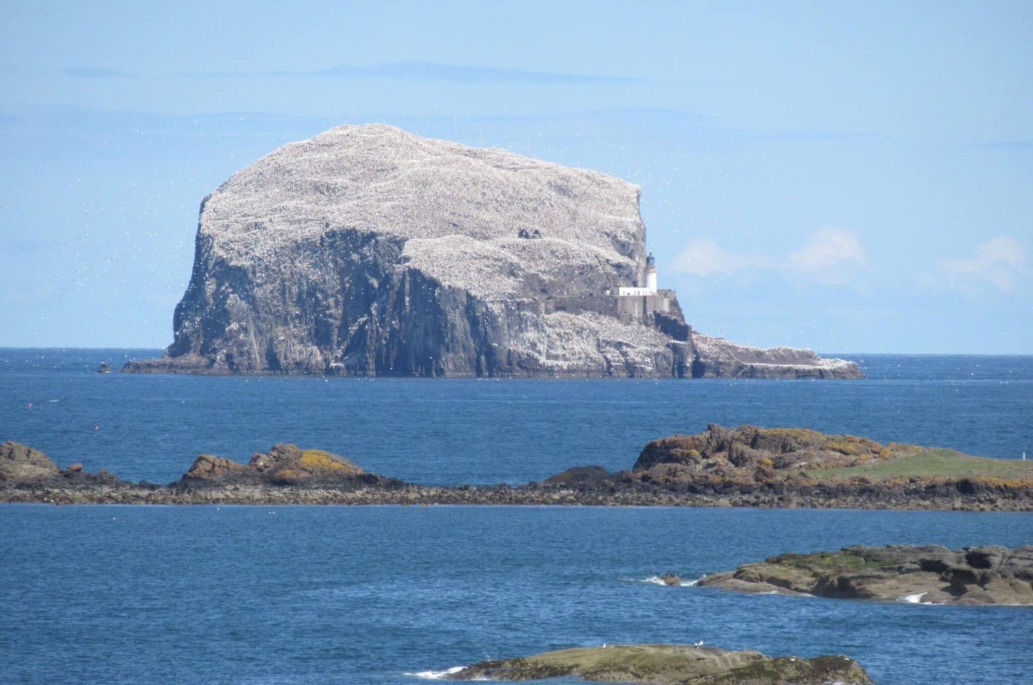 Bass-Rock-c-Susan-Davies-aspect-ratio-540-358