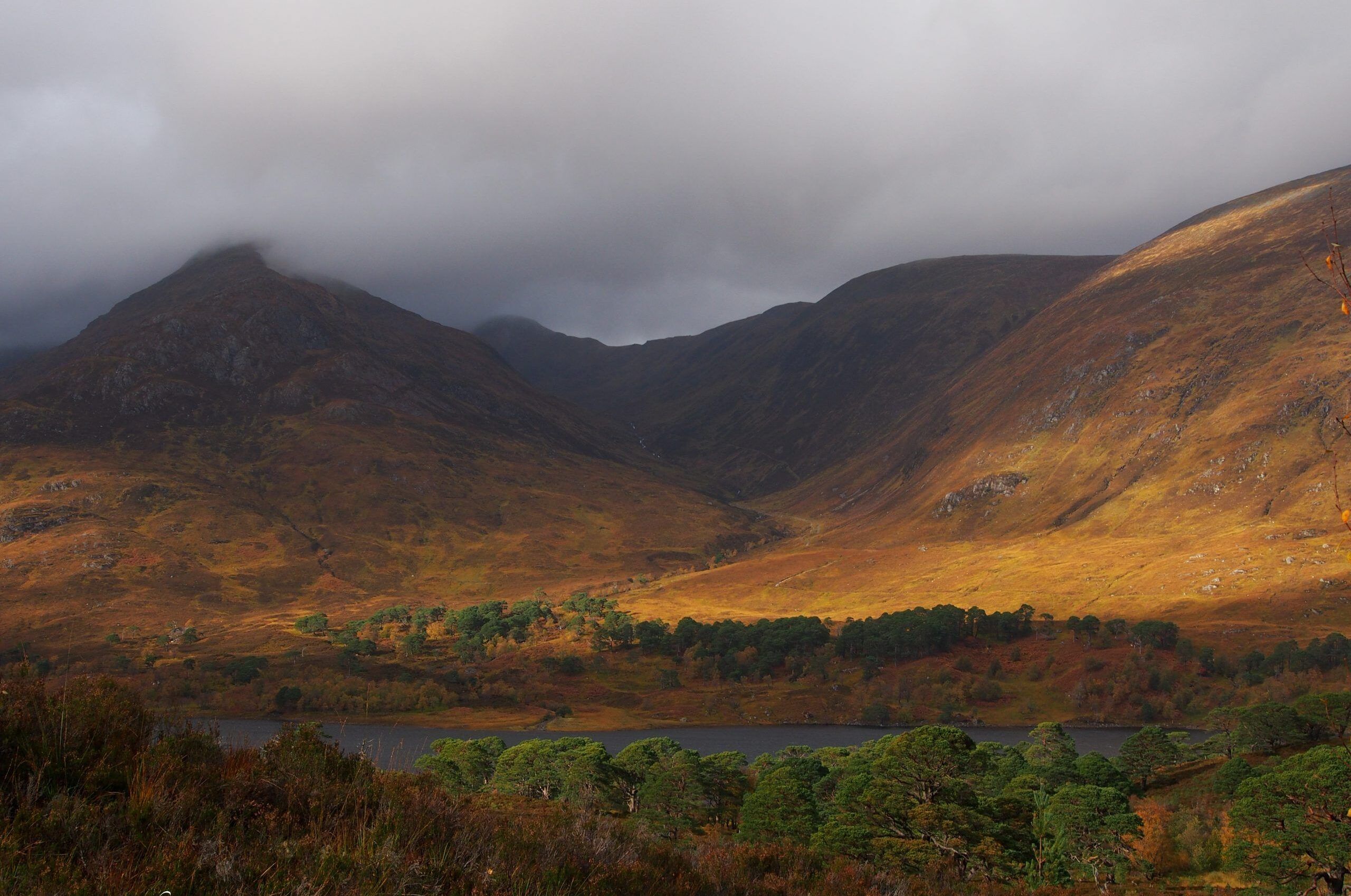 Loch-Affric-Sandra-Graham-scaled-1-aspect-ratio-540-358