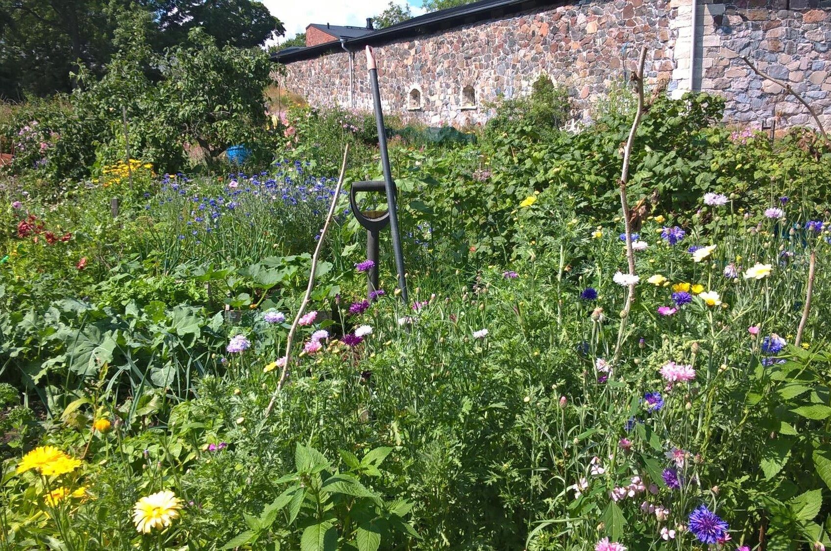 cottage-garden-D-Long-aspect-ratio-540-358