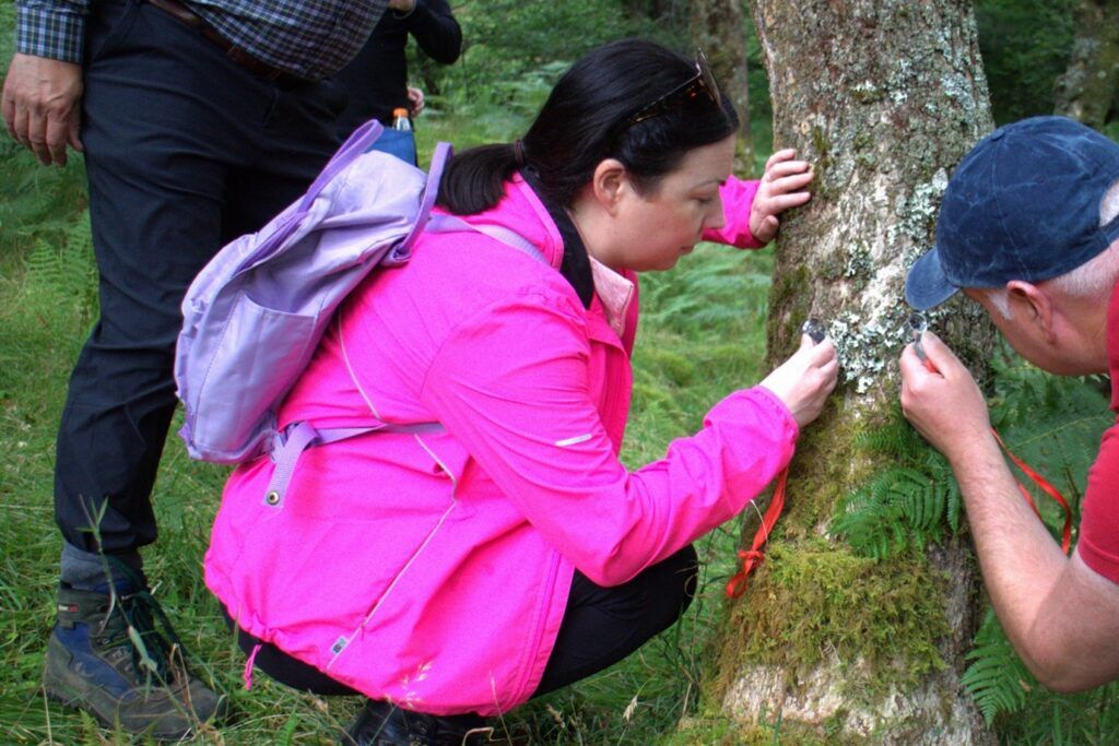 Two people crouched down next to a tree inspecting the lichen on it